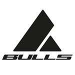 Bulls_logo
