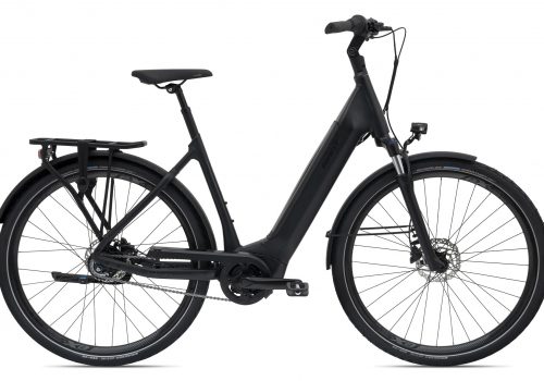 Giant DailyTour E+ 2 LDS D