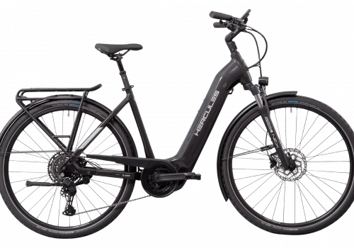 Hercules Futura Sport I-10