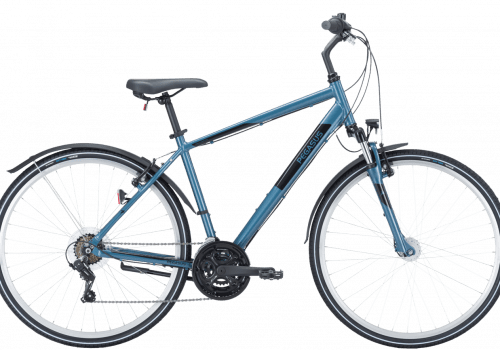 Pegasus Avanti Sport 18