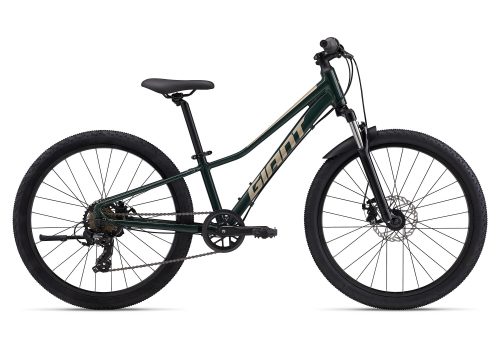 Giant Talon 24 Disc