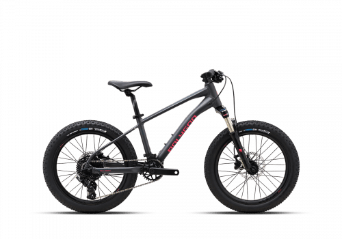 Polygon Xtrada 20