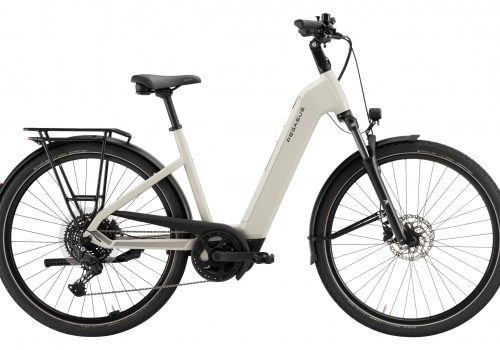 Pegasus Solero EVO 10