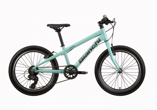 Bianchi XR20