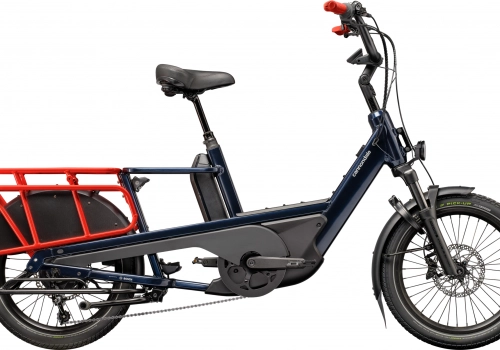 Cannondale Cargowagen Neo 1