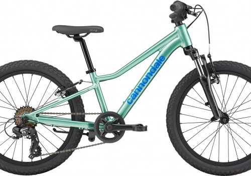 Cannondale Kids Trail 20