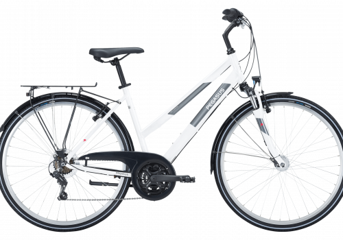 Pegasus Avanti 18