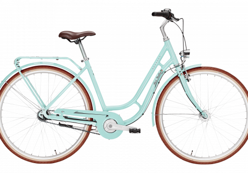 Pegasus Bici Italia 7