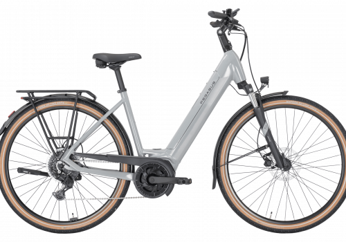 Pegasus Solero Evo 9